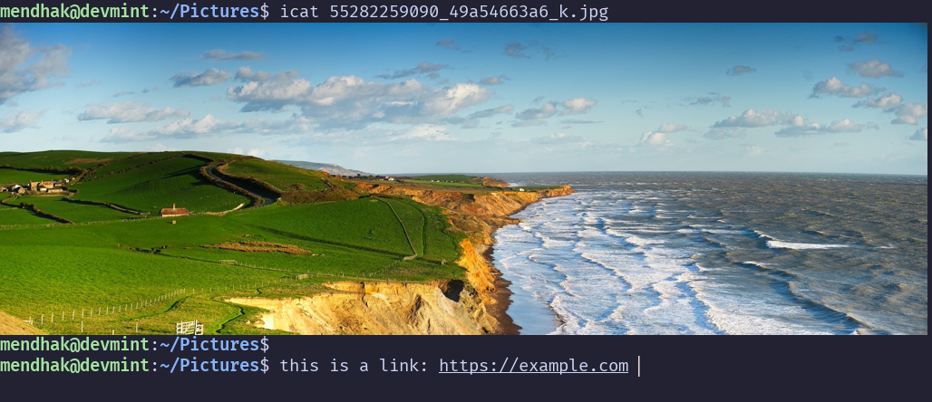 image being rendered inside a terminal window, followed by a clickable link