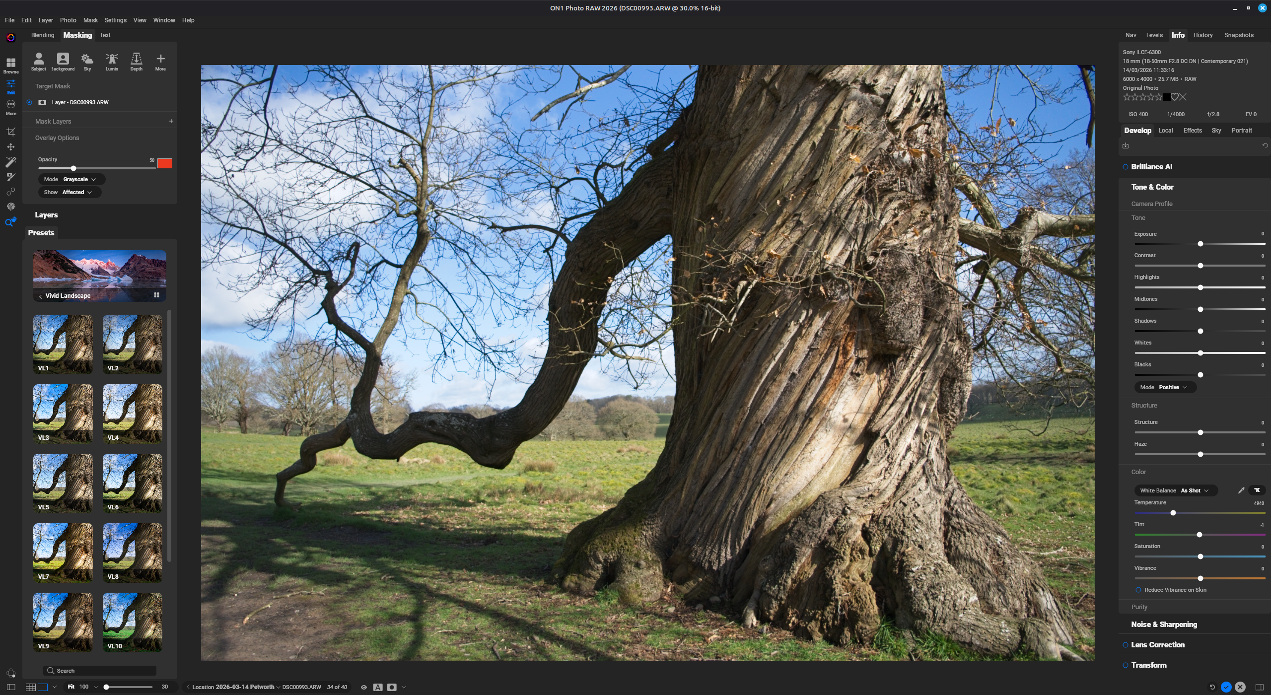 ON1 Photo RAW running on Linux showing the various panels and tools and an image of a tree being edited